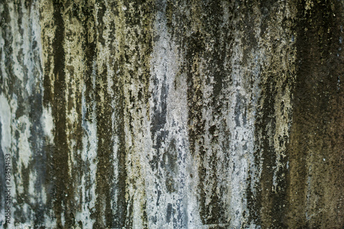 Old walls with water stains until moss