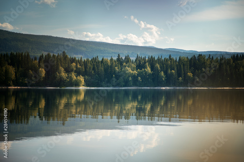 Fototapeta Naklejka Na Ścianę i Meble -  Beautiful summer landscape, the shore of Lake Snasa in Norway, soft focus through the flowers