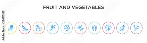 fruit and vegetables concept 10 outline colorful icons