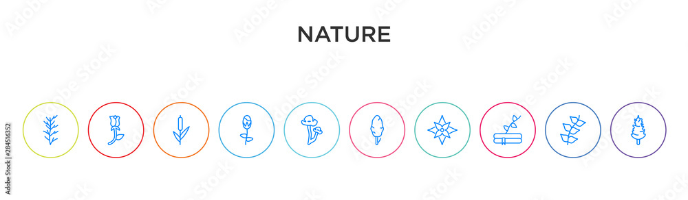 nature concept 10 outline colorful icons nature concept 10 outline colorful icons