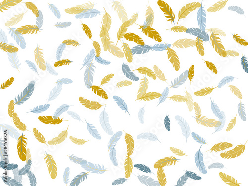 Detailed majestic feather on white design.