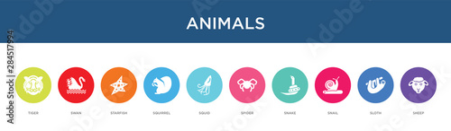 animals concept 10 colorful icons