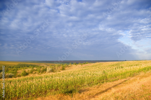 Field and sky