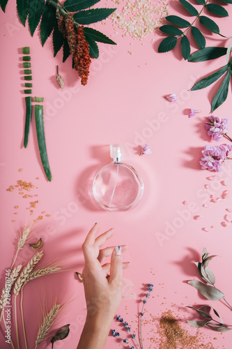 Transparent perfume bottle in flowers on pink background with woman's hand. Spring background with aroma parfume. Flat lay