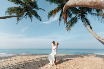 Stylish  bride and groom walking under palms on the background of the ocean and beach, wedding ceremony in Sri Lanka
