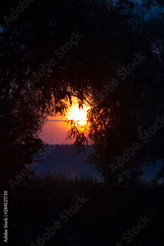 Red-orange rising sun through the branches of trees, silhouetted leaves and branches against the backdrop of the rising sun, selective focus