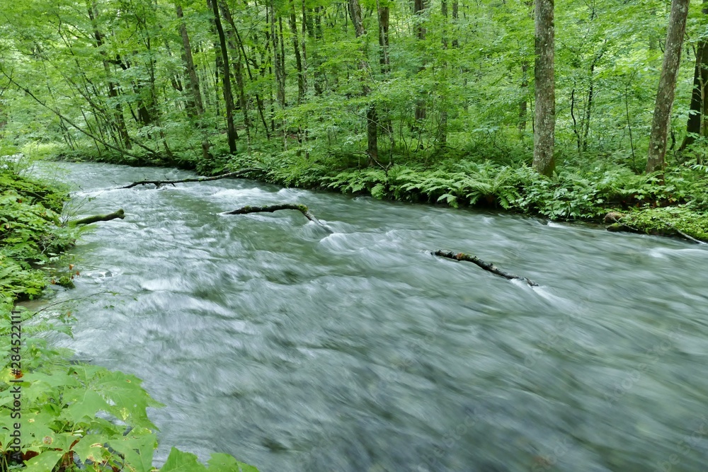 Obraz premium 《奥入瀬渓流》青森県十和田市