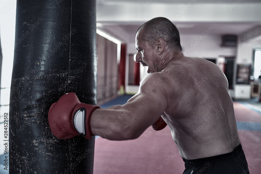 Boxer training at heavy bag