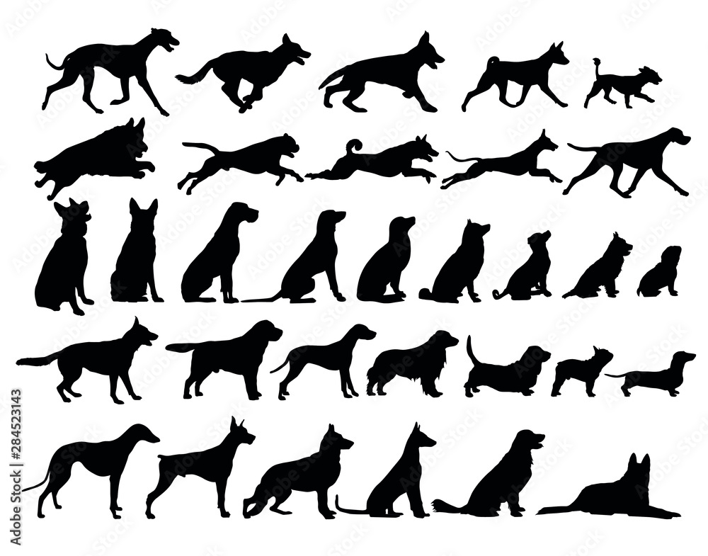 silhouette of cats and dogs set silhouette of cats and dogs set