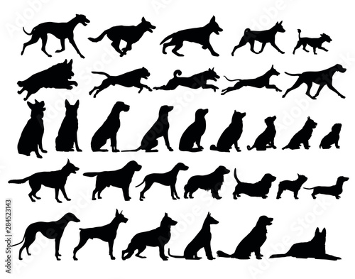 Photography silhouette of cats and dogs set