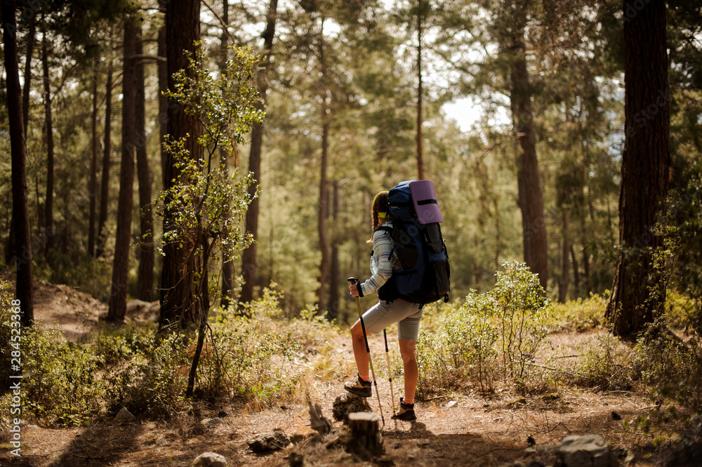 Female hiker travels with sticks through forest Female hiker travels with sticks through forest