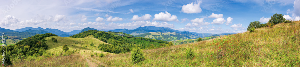 wonderful autumn mountain panorama. pikui peak of watershed ridge beneath clouds. trees on grassy rolling hills. wonderful carpathian countryside on a sunny day of september.