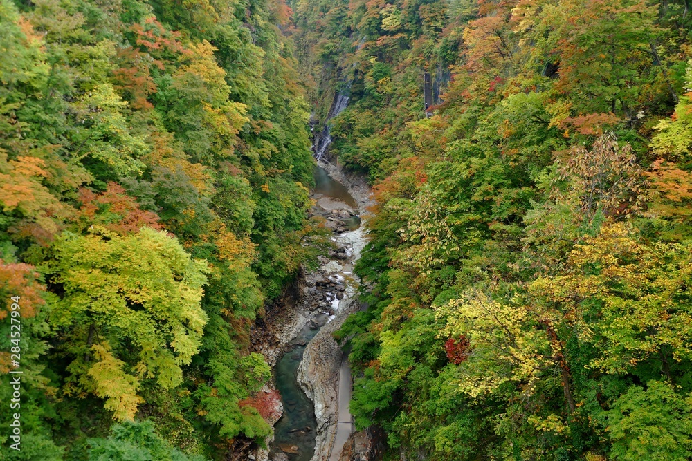 《小安峡の紅葉》秋田県湯沢市