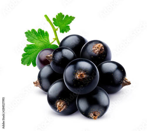 Bunch of black currant isolated on white background