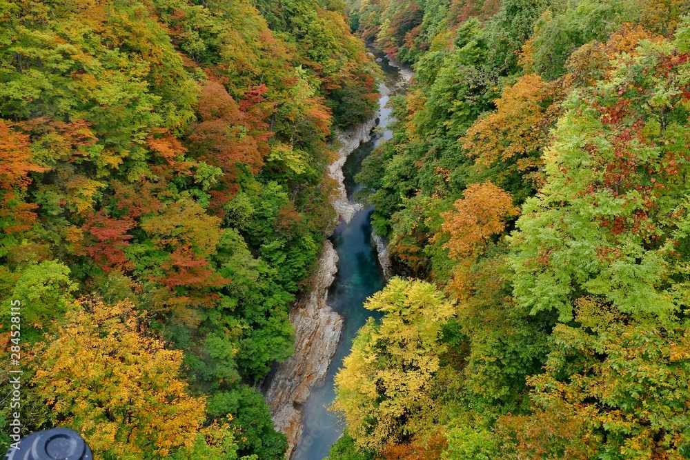 《小安峡の紅葉》秋田県湯沢市 《小安峡の紅葉》秋田県湯沢市