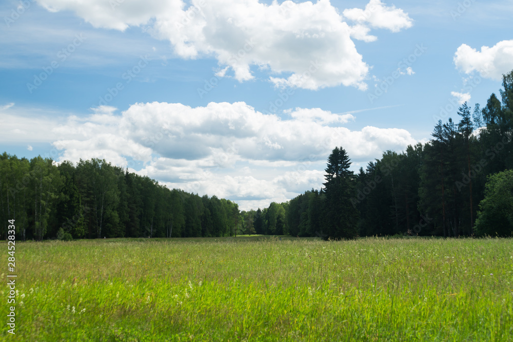 Green field and the forest nature background Green field and the forest nature background