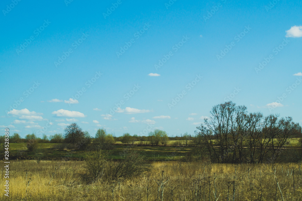 Wide field and the sky nature background