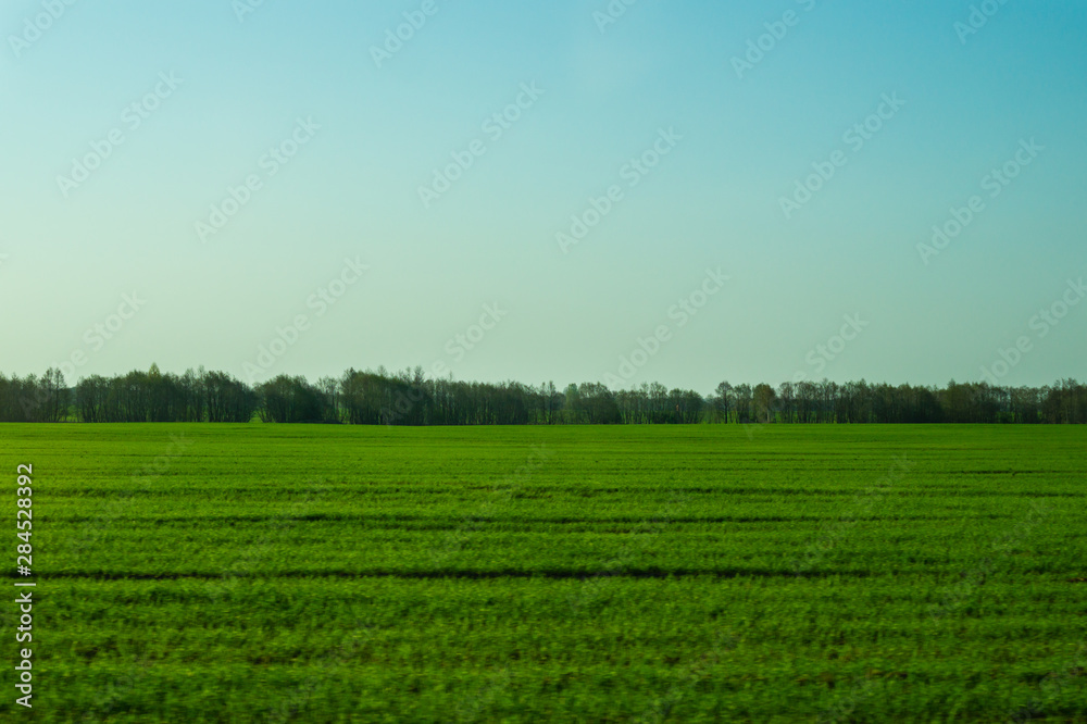 Wide field and the sky nature landscape background
