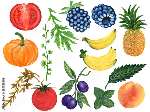 Fototapeta Naklejka Na Ścianę i Meble -  Watercolor hand paint set eco food organic helthy cafe menu design. natural fresh fruits and vegetable illustration