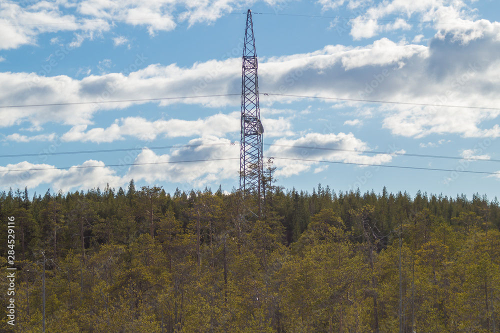 Obraz premium Power line post in forest. high voltage tower on the sky background