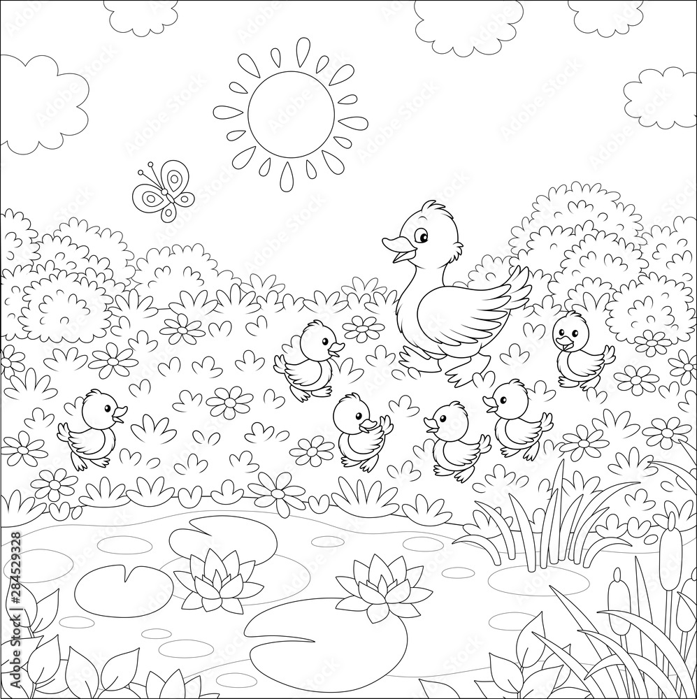 Duck with her little ducklings walking on grass among flowers near a small pond with water lilies of a summer meadow on a sunny day, black and white vector illustration in a cartoon style