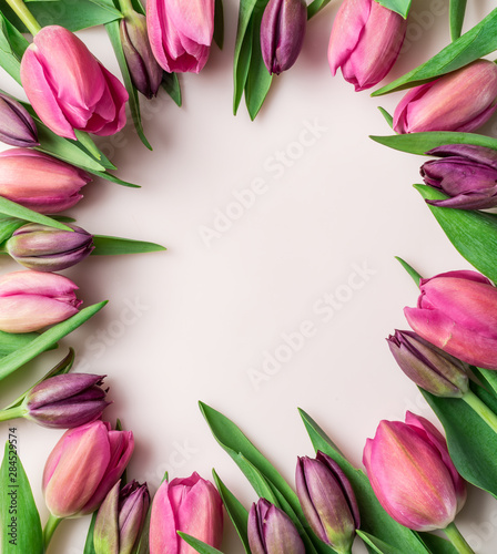 Fototapeta Naklejka Na Ścianę i Meble -  Delicate pink tulips on lightpink background.