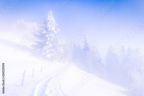 Winter landscape. © patma145