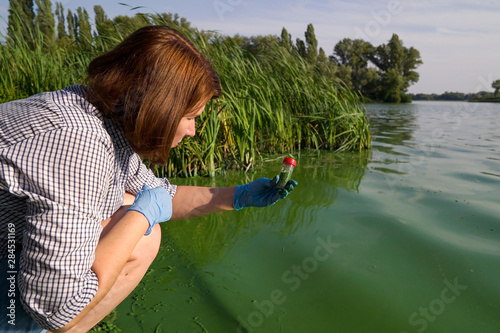 female ecologist takes samples of river water infected with green algae in tube