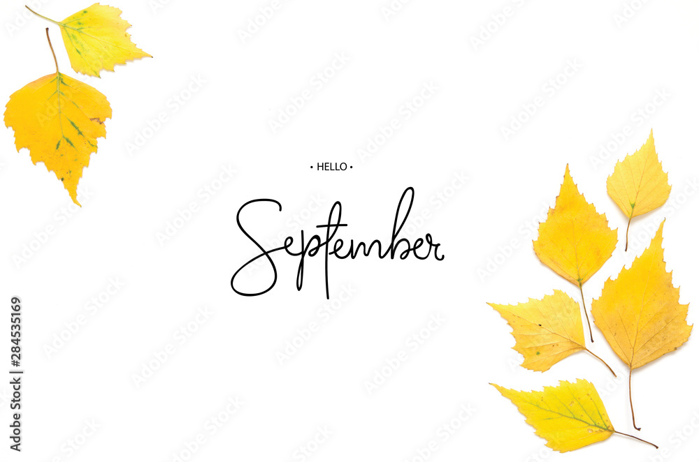 Inscription Hello September. Yellow autumn leaves isolated on white. - Image - obrazy, fototapety, plakaty 