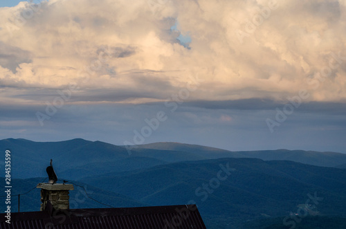 Fototapeta Naklejka Na Ścianę i Meble -  Bieszczady połoniny