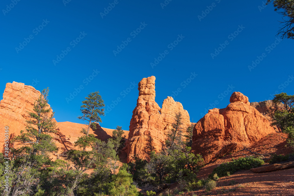Bryce Canyon National Park low angle landscape of red hoodoos and rock formations
