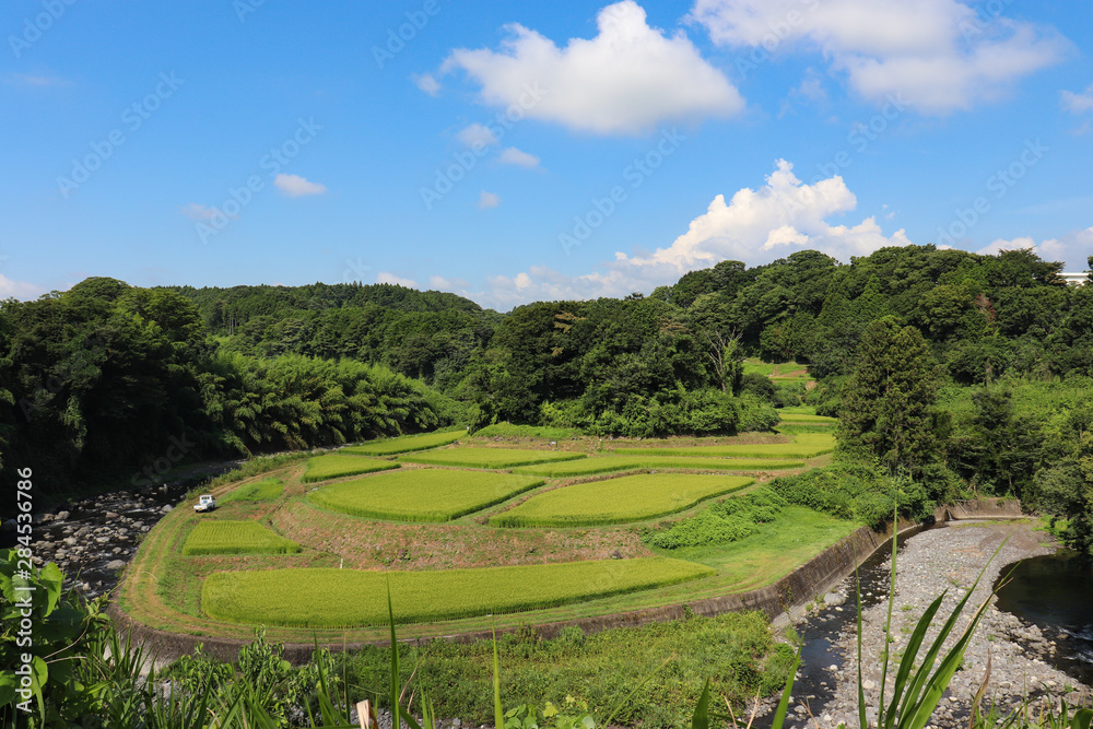 竹之下の棚田（静岡県小山町）,rice terraces,oyama town,shizuoka pref,japan
