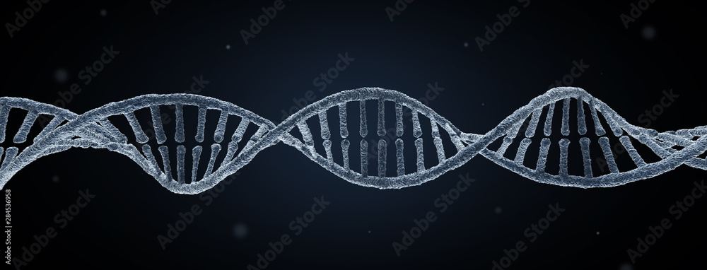 DNA molecule