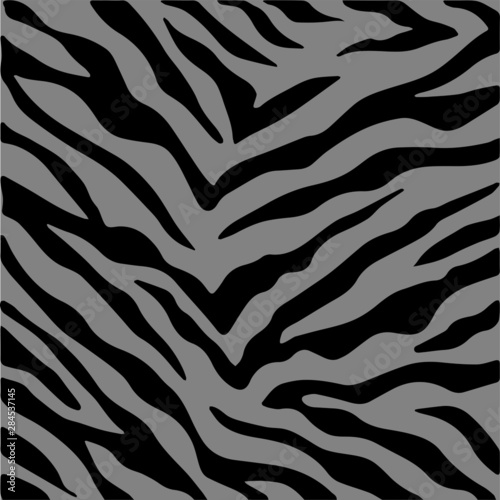 Zebra skin, stripes pattern. Animal print, black and white detailed and realistic texture.