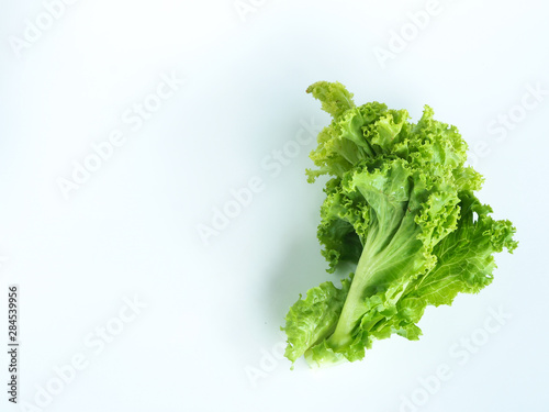 fresh green lettuce on white background