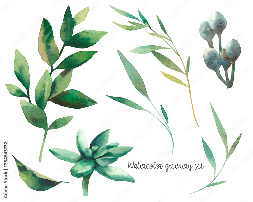 Watercolor greenery set. Hand drawn elements of design: green leaves; branches; succulent. Greeting or wedding clip art. - obrazy, fototapety, plakaty 