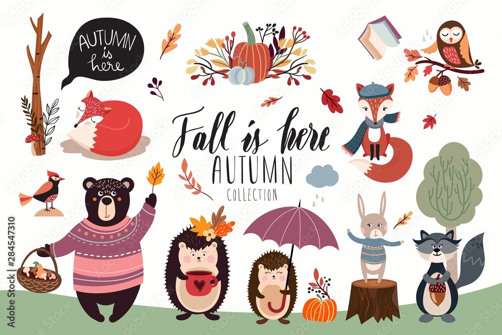 Fototapeta premium Autumn elements collection, vector design