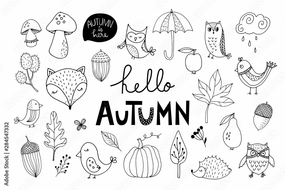 Hand drawn autumn elements collection