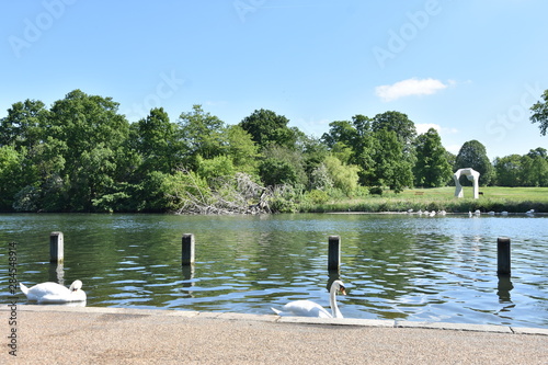 Serpentine Lake  Hyde Park  London