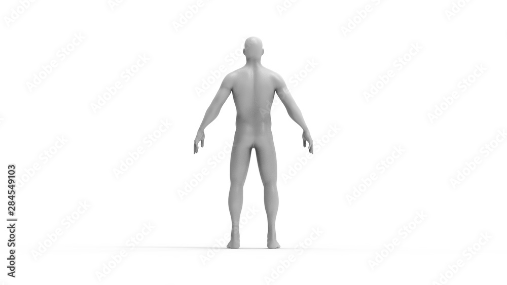 Human body 3d rendering of a human body isolated in white background Human body 3d rendering of a human body isolated in white background
