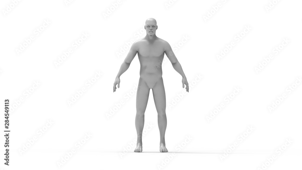 Human body 3d rendering of a human body isolated in white