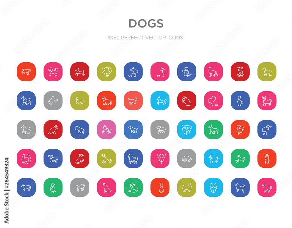 50 dogs colorful outline icons set. can be use for web mobile 50 dogs colorful outline icons set. can be use for web mobile