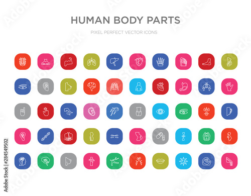 50 human body parts colorful outline icons set. can be use for web mobile