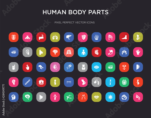 50 human body parts colorful icons set. can be use for web mobile