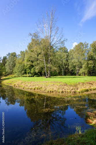 Wonderful summer view in the palace park, Pavlovsk, St. Petersburg region, Russia