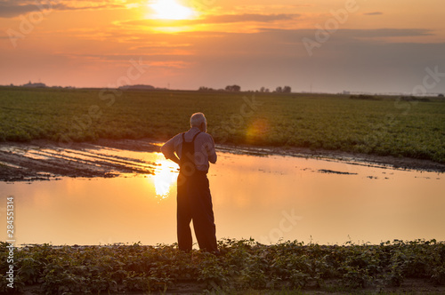 Farmer standing beside pond in agricultural field