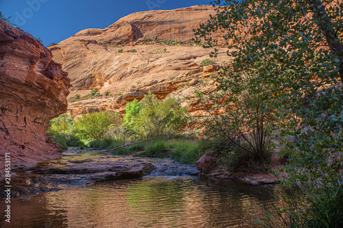 Flowing Stream at Grandstaff Canyon Trail, Moab, Utah