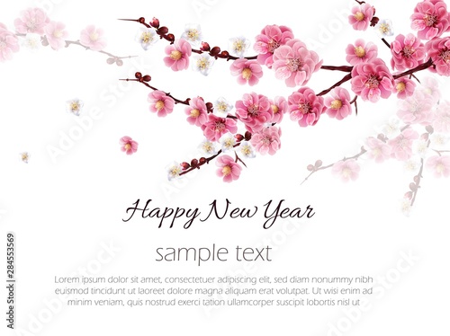 Chinese plum flower background 