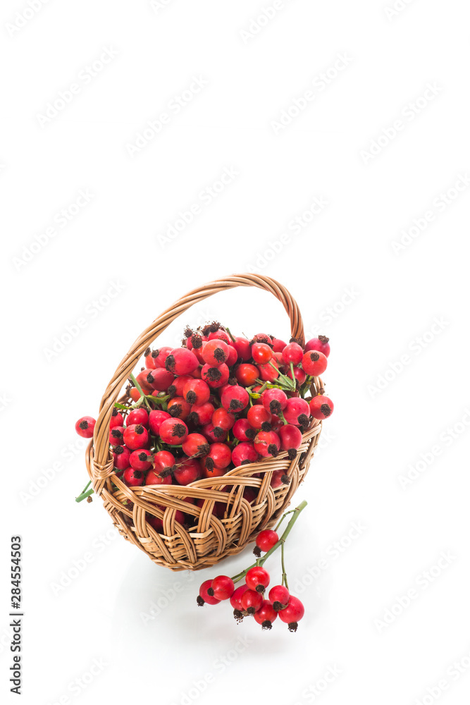 ripe red dogrose in a basket isolated on white ripe red dogrose in a basket isolated on white