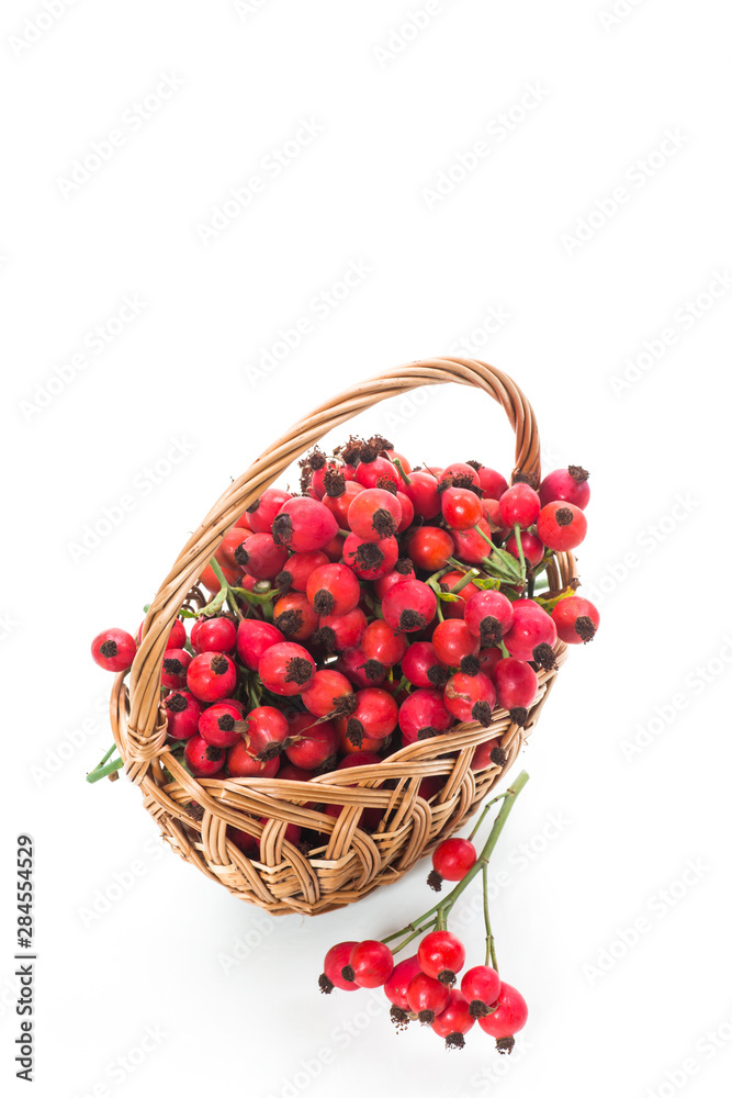ripe red dogrose in a basket isolated on white ripe red dogrose in a basket isolated on white